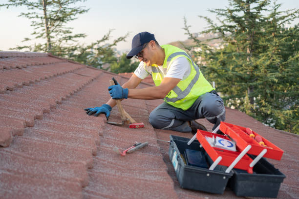 Best Roof Leak Repair  in Bassett, VA
