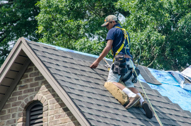 Professional Roofing Contractor in Bassett, VA